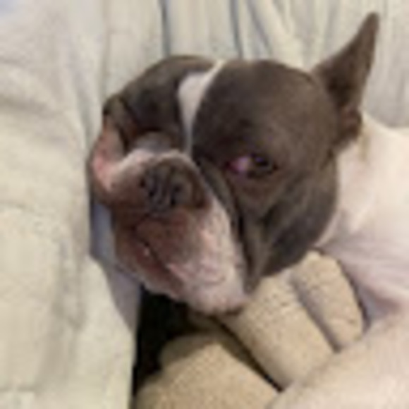 Meet your Posher, Lea - Picture 1 of 1